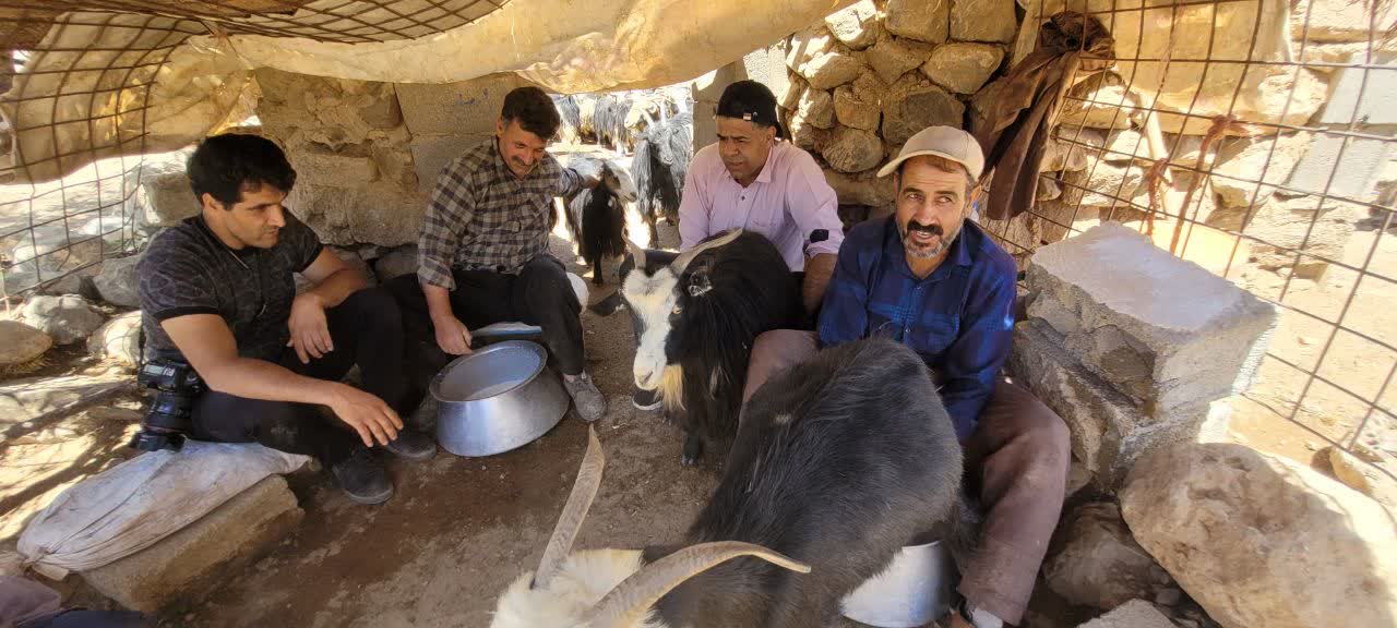 گردشگری عشایر