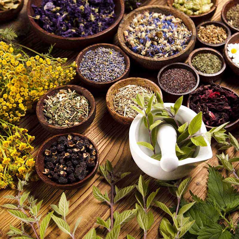 تولید گیاهان دارویی